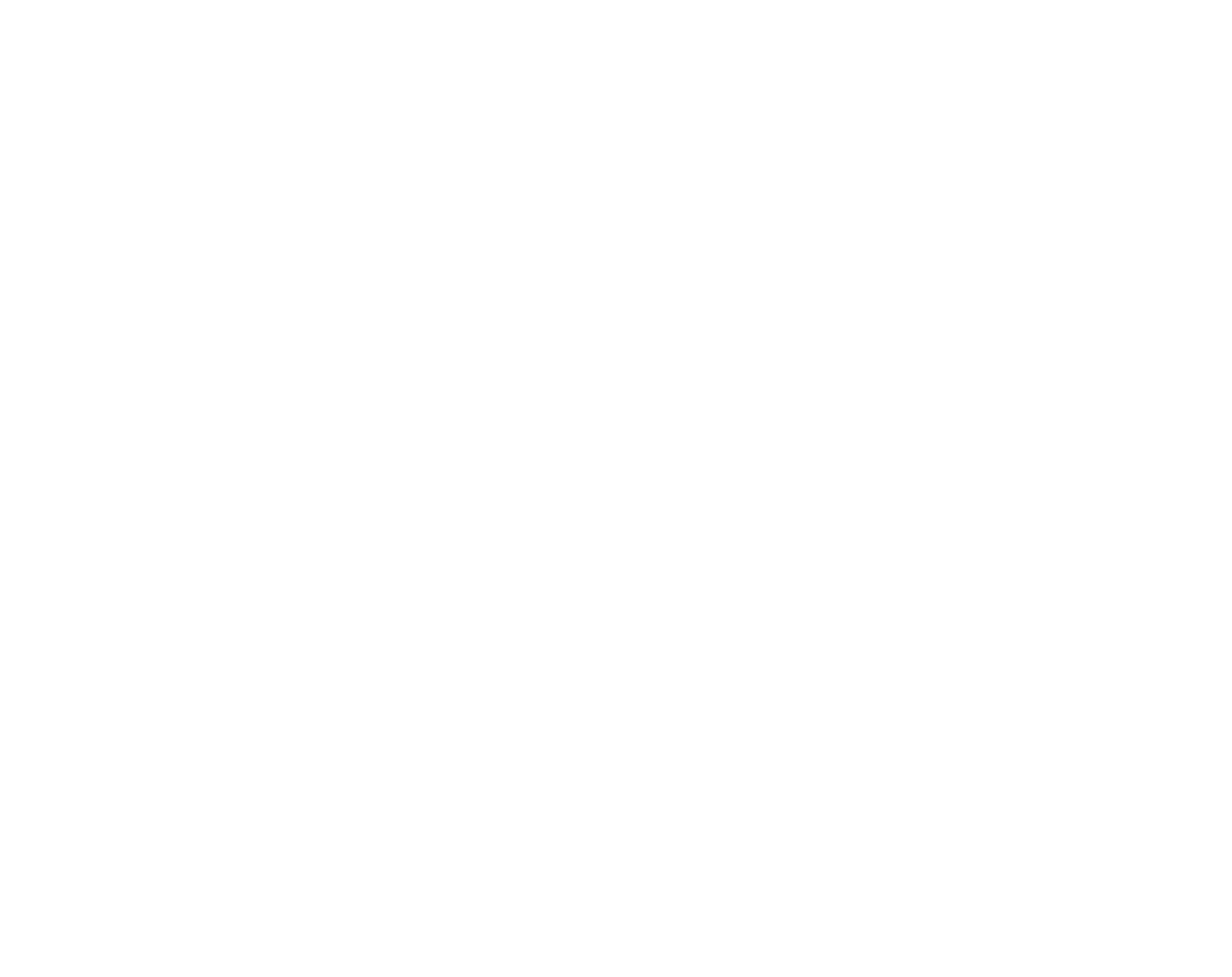 Lara Lívyna Advogada